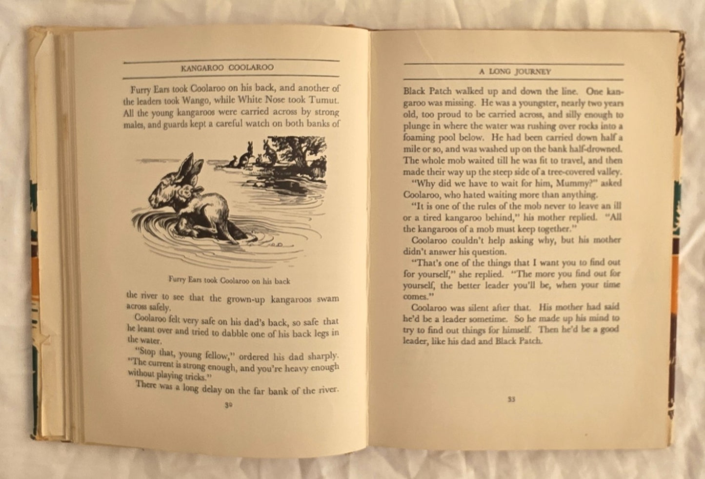 Kangaroo Coolaroo by Lydia S. Eliott