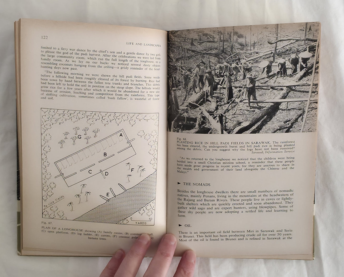 Life and Landscapes by A. M. Wynter and W. A Halloway