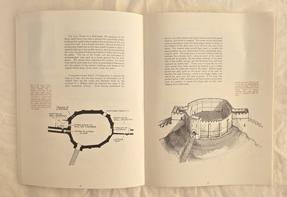 Lincoln Castle by Sheila Sancha