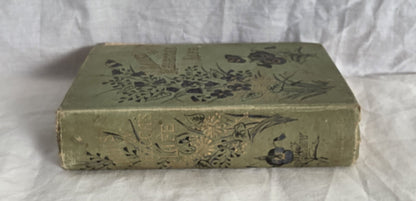 Links in Rebecca’s Life by Pansy