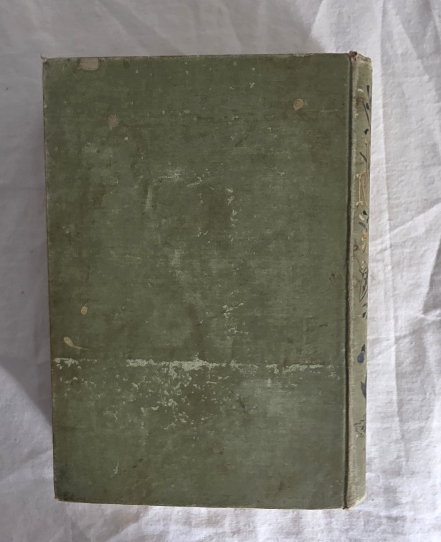 Links in Rebecca’s Life by Pansy