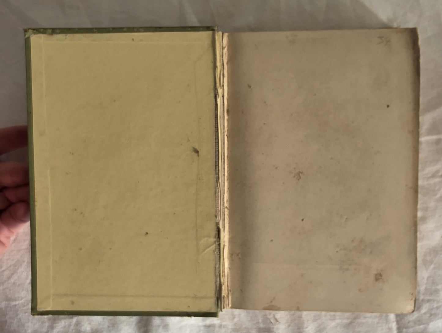 Links in Rebecca’s Life by Pansy