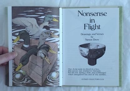 Nonsense in Flight by Simon Drew