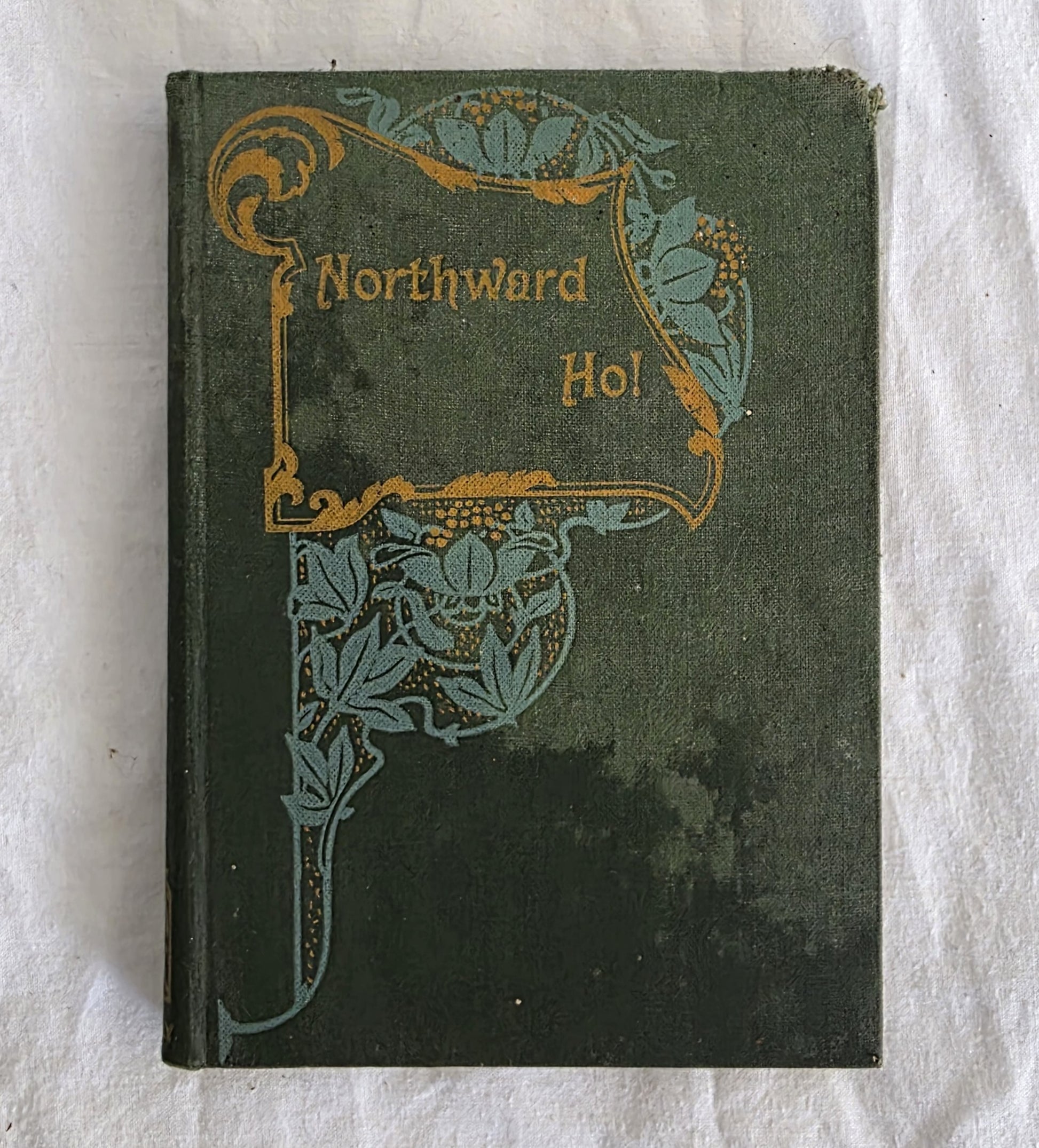 Vintage book titled 'Northward Ho!' with decorative cover on a textured white background