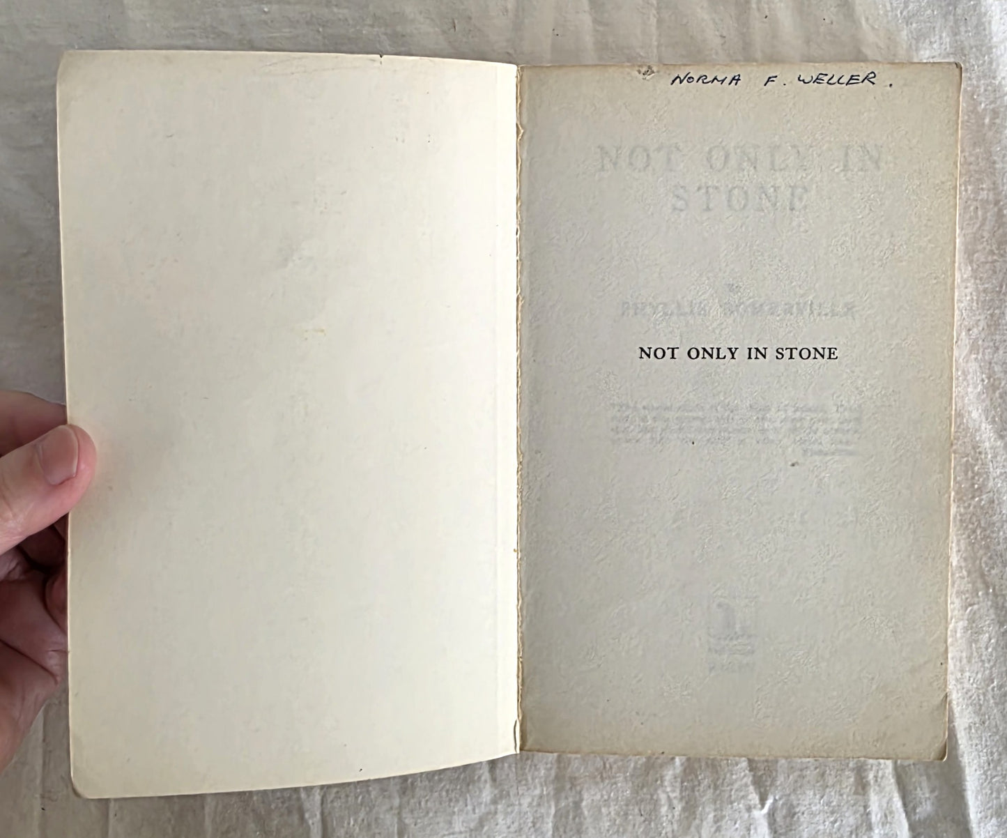 Not Only in Stone by Phyllis Somerville