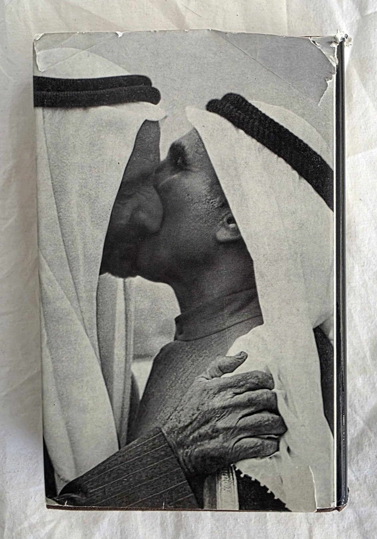 Oil Sheikhs by Linda Blandford