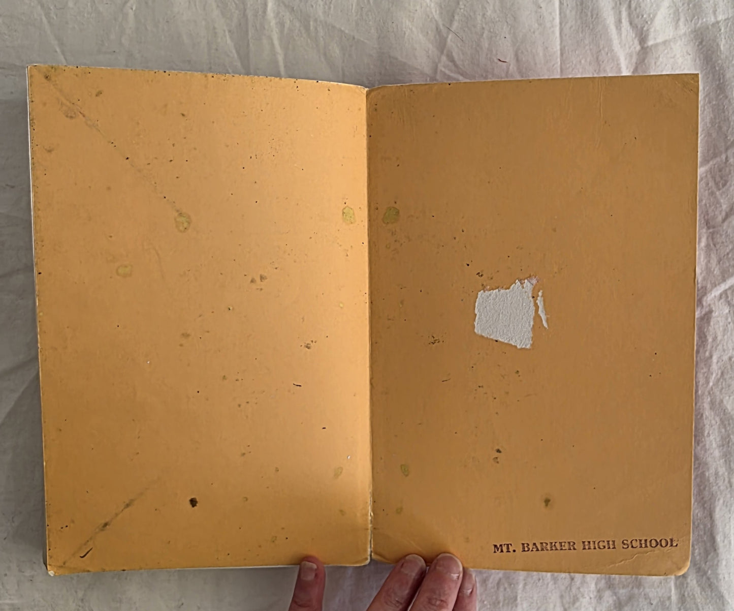 Orange Moon by Garth Boomer and Peter McFarlane