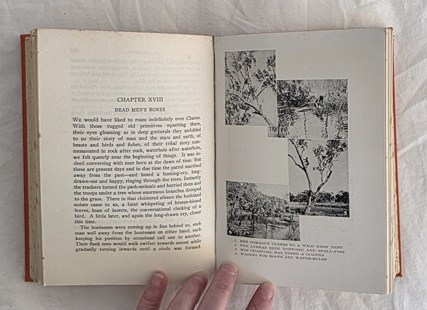 Over the Range by Ion L. Idriess (1937)