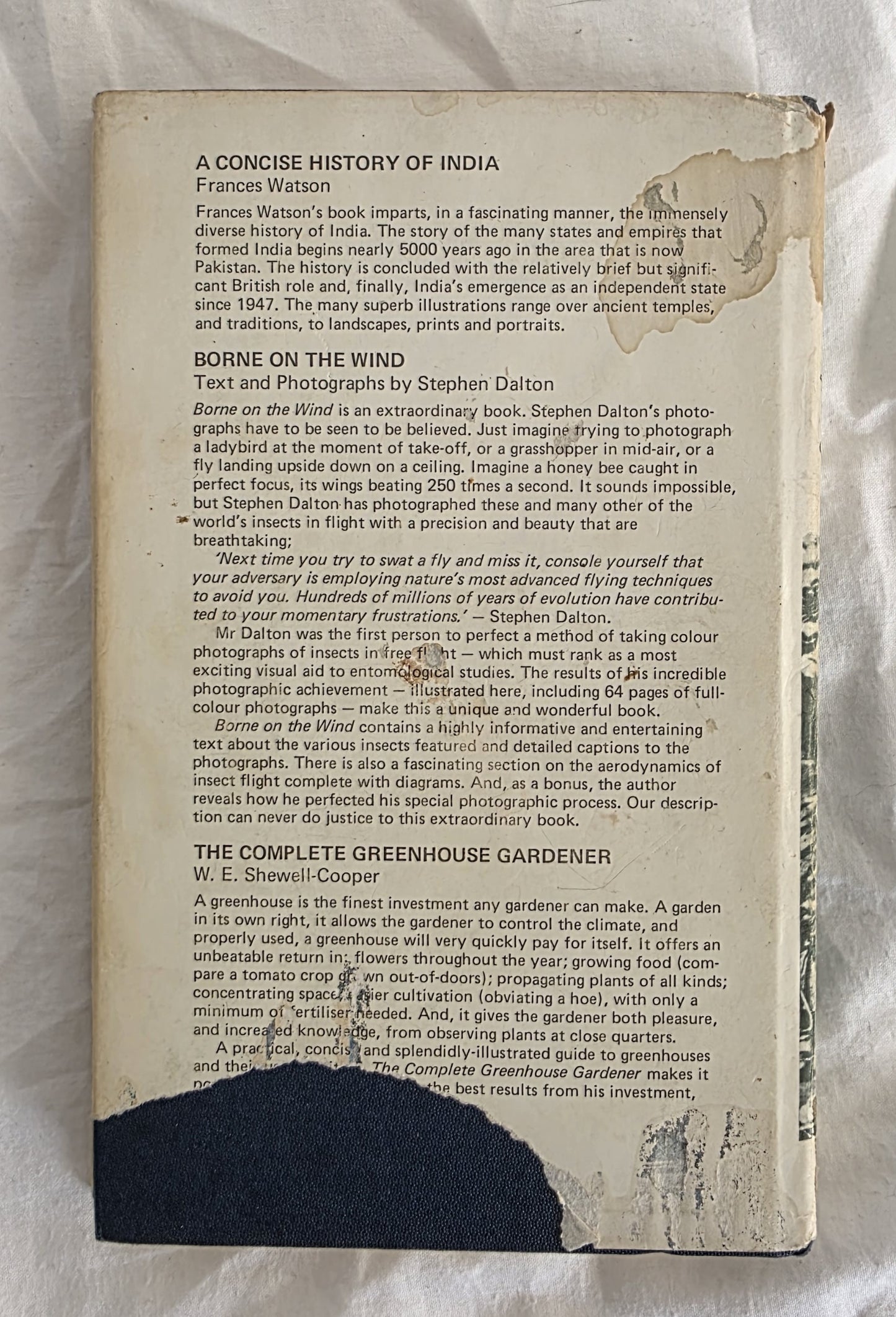 Plain Tales from the Raj by Charles Allen
