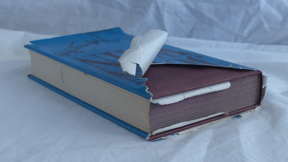 Professing Poetry by John Wain