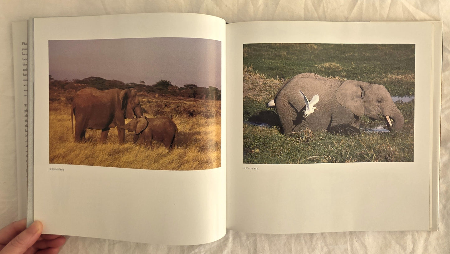 Safari by Neil Leifer and Lance Morrow