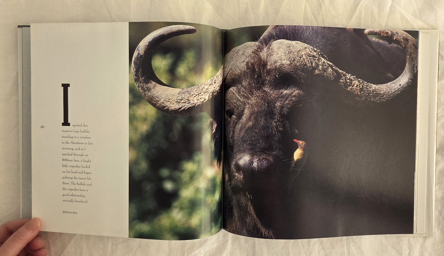 Safari by Neil Leifer and Lance Morrow