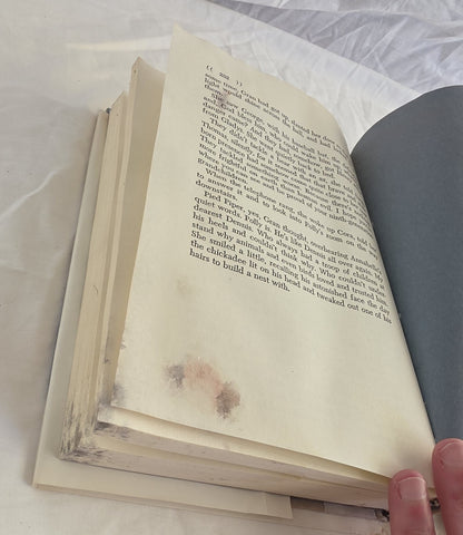 Sarah Walked Over the Mountain by Ruth Moore