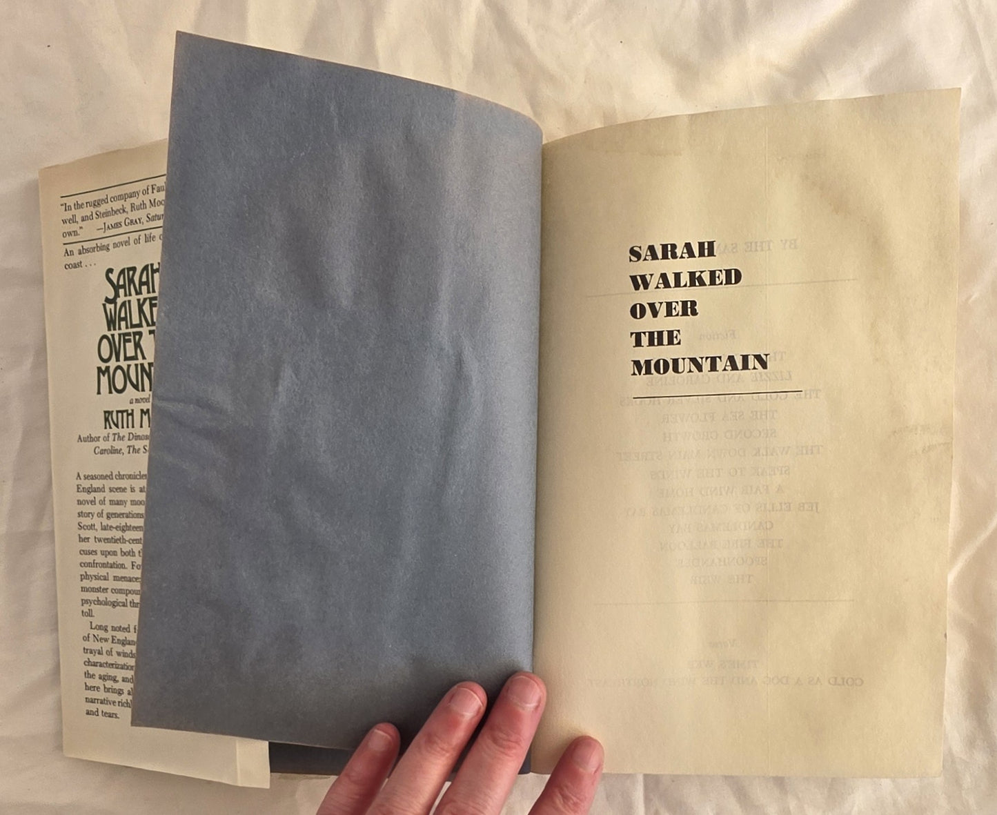 Sarah Walked Over the Mountain by Ruth Moore