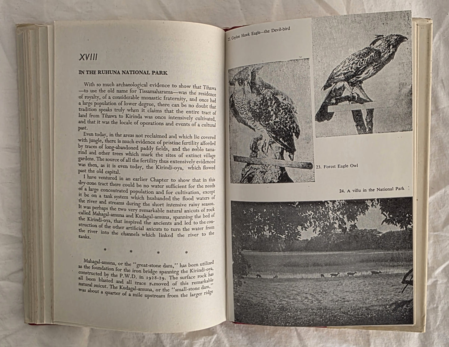 Seeing Ceylon by R. L. Brohier