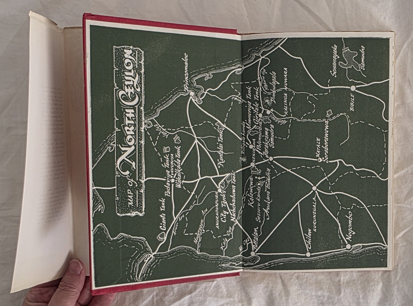 Seeing Ceylon by R. L. Brohier