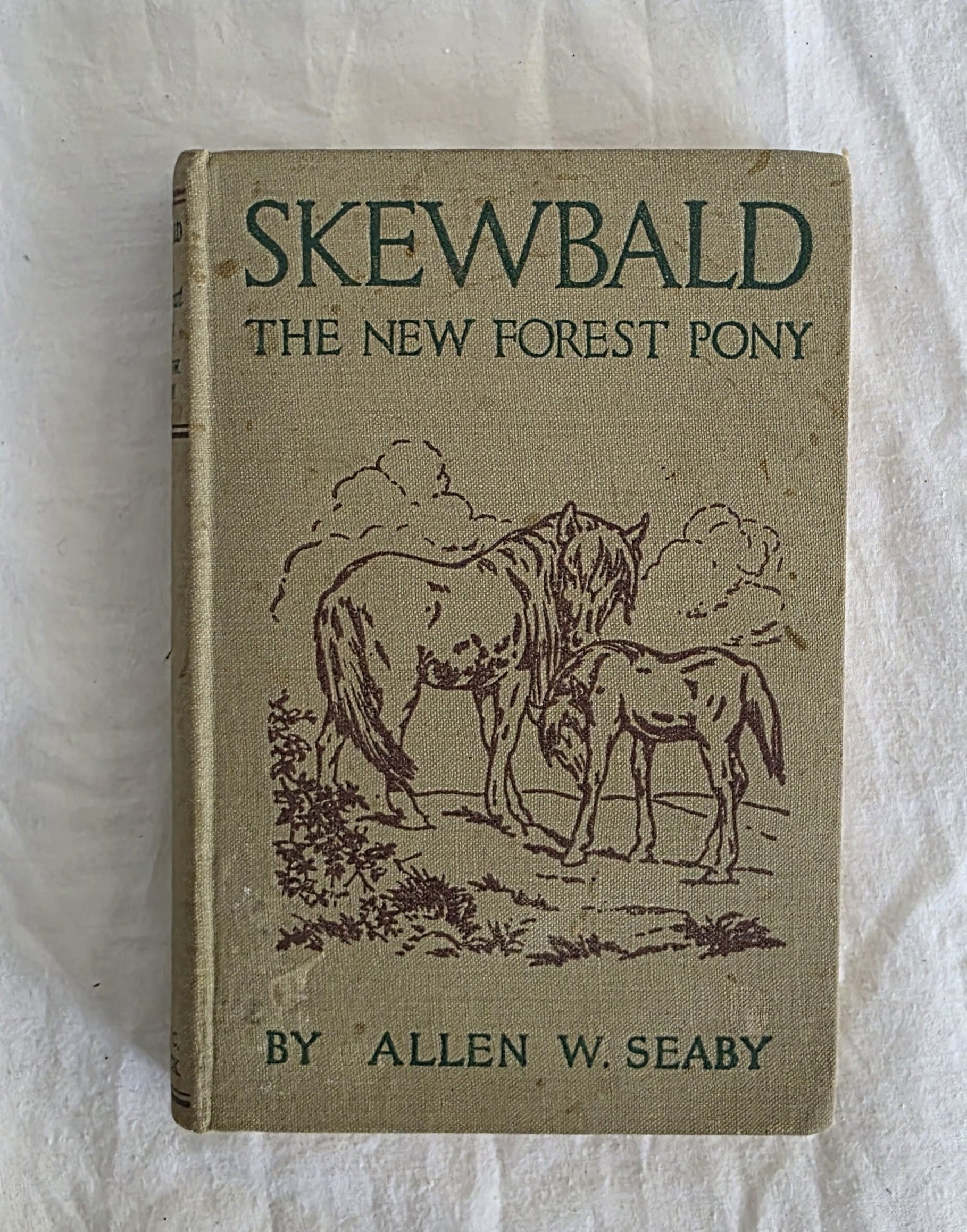 Book cover of 'Skewbald: The New Forest Pony' by Allen W. Seaby on a textured white background