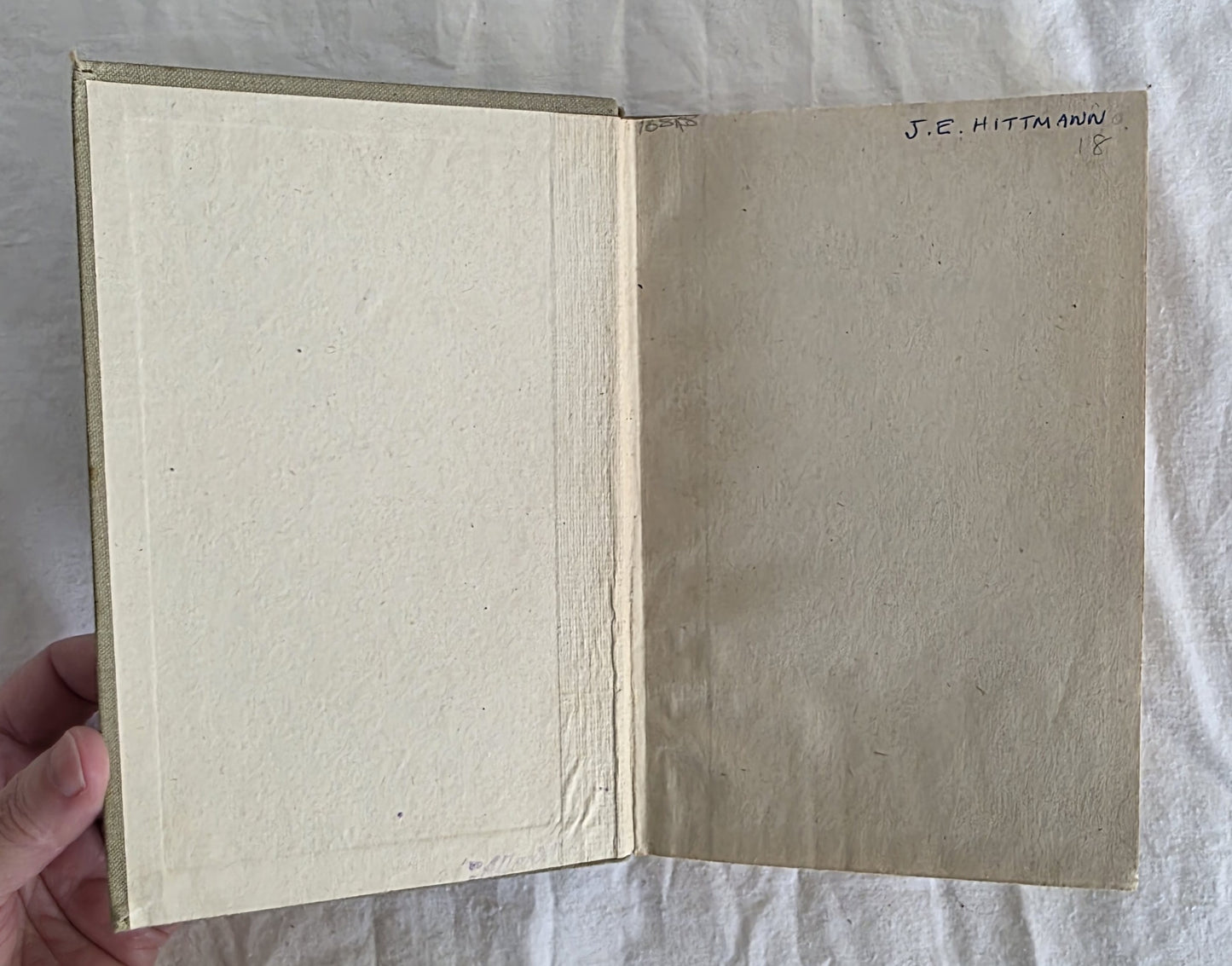 Skewbald by Allen W. Seaby