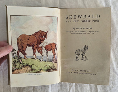 Skewbald by Allen W. Seaby