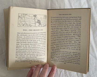 Skewbald by Allen W. Seaby