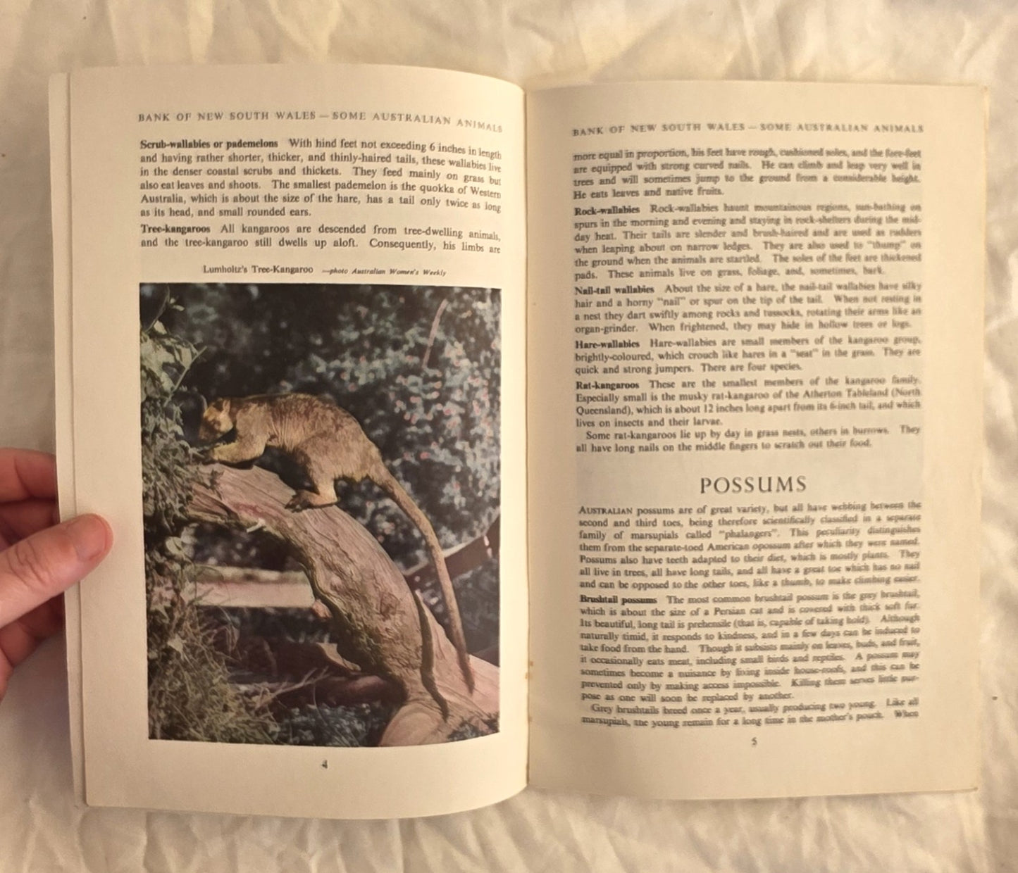 Some Australian Animals by The Wales Bank of New South Wales