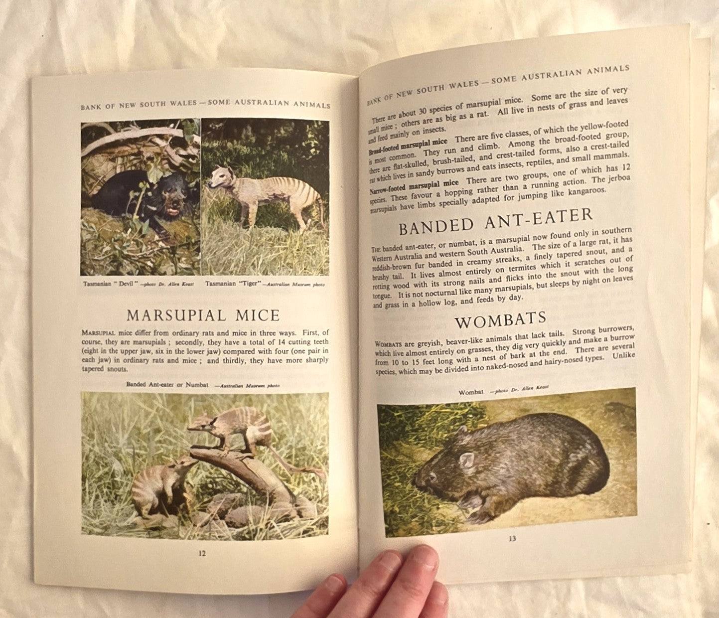 Some Australian Animals by The Wales Bank of New South Wales