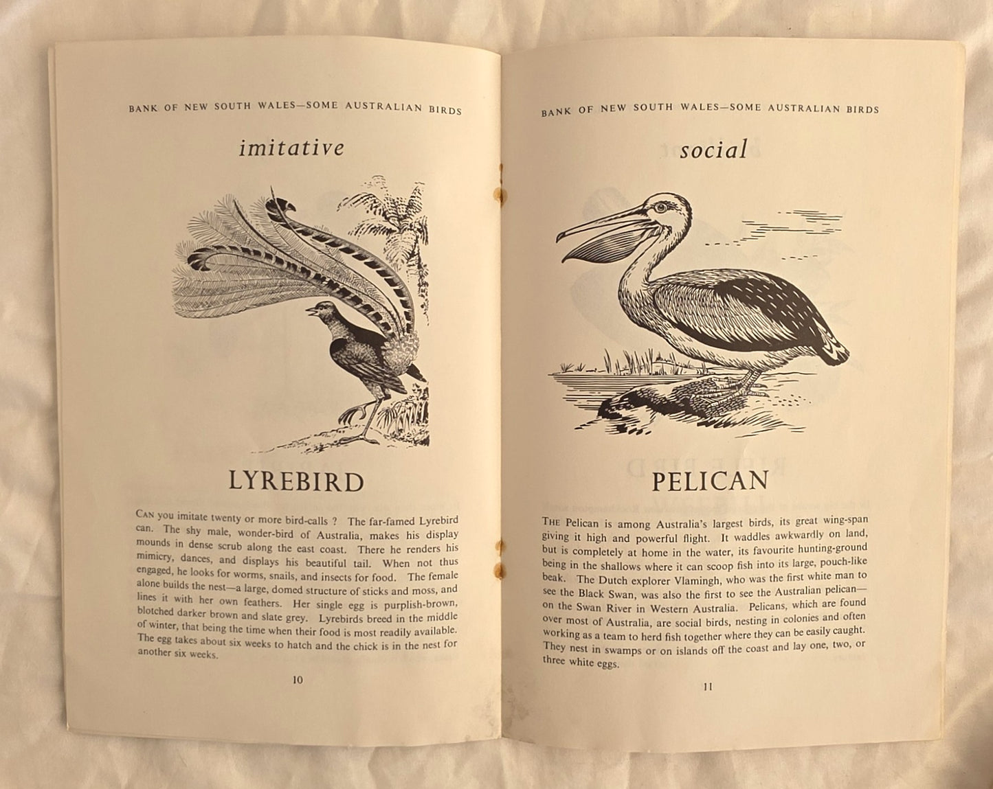 Some Australian Birds by The Wales Bank of New South Wales (watermark)