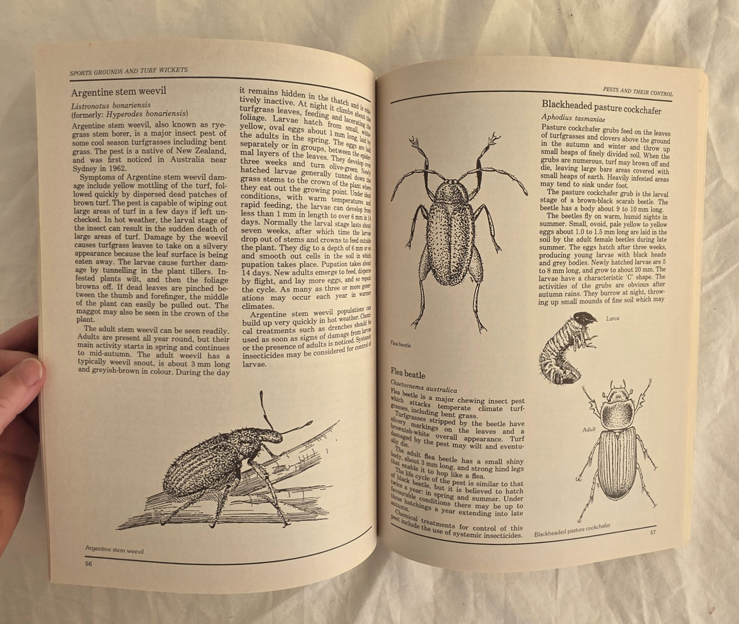 Sports Grounds and Turf Wickets by Karl Liffman
