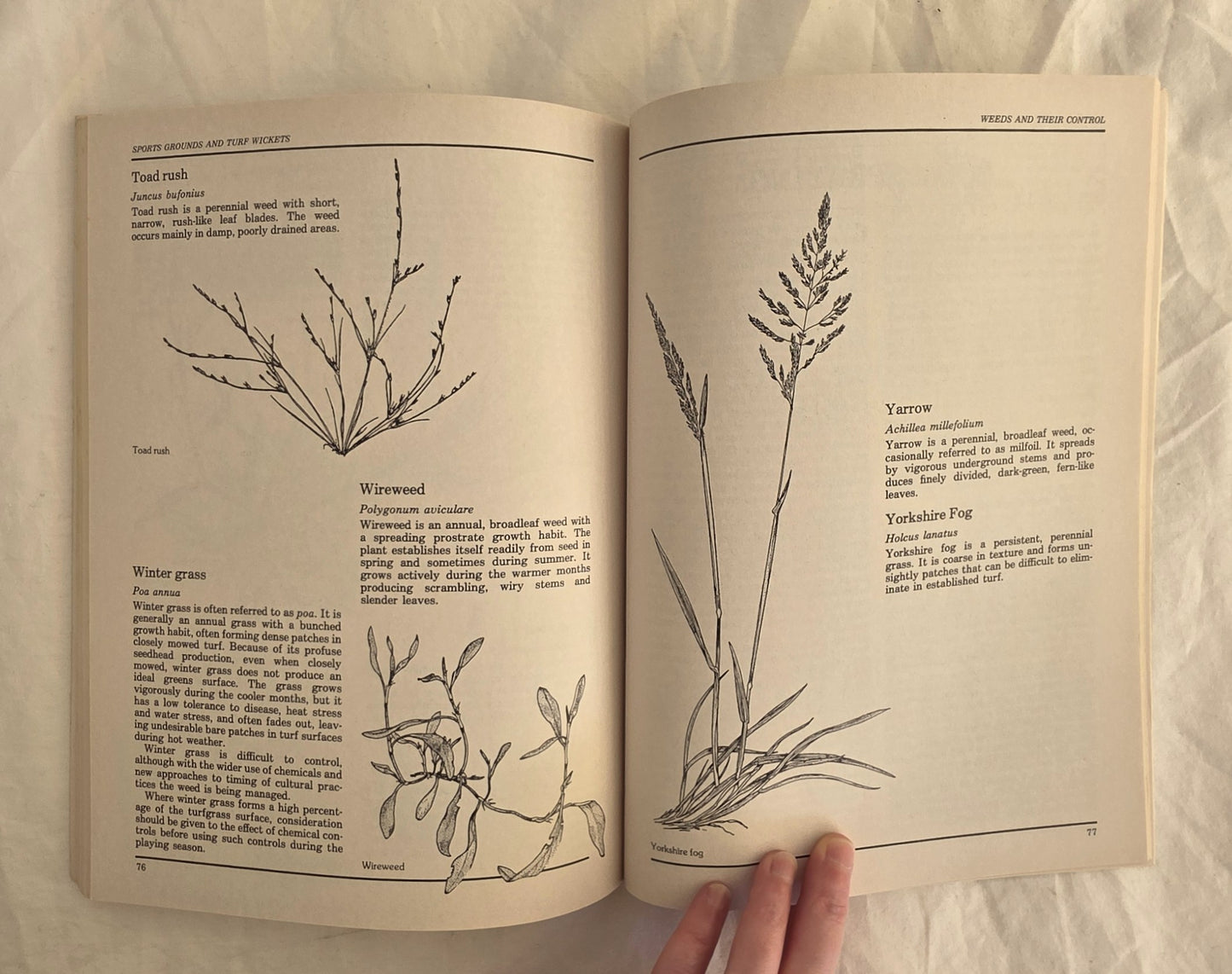 Sports Grounds and Turf Wickets by Karl Liffman