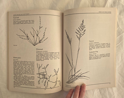 Sports Grounds and Turf Wickets by Karl Liffman