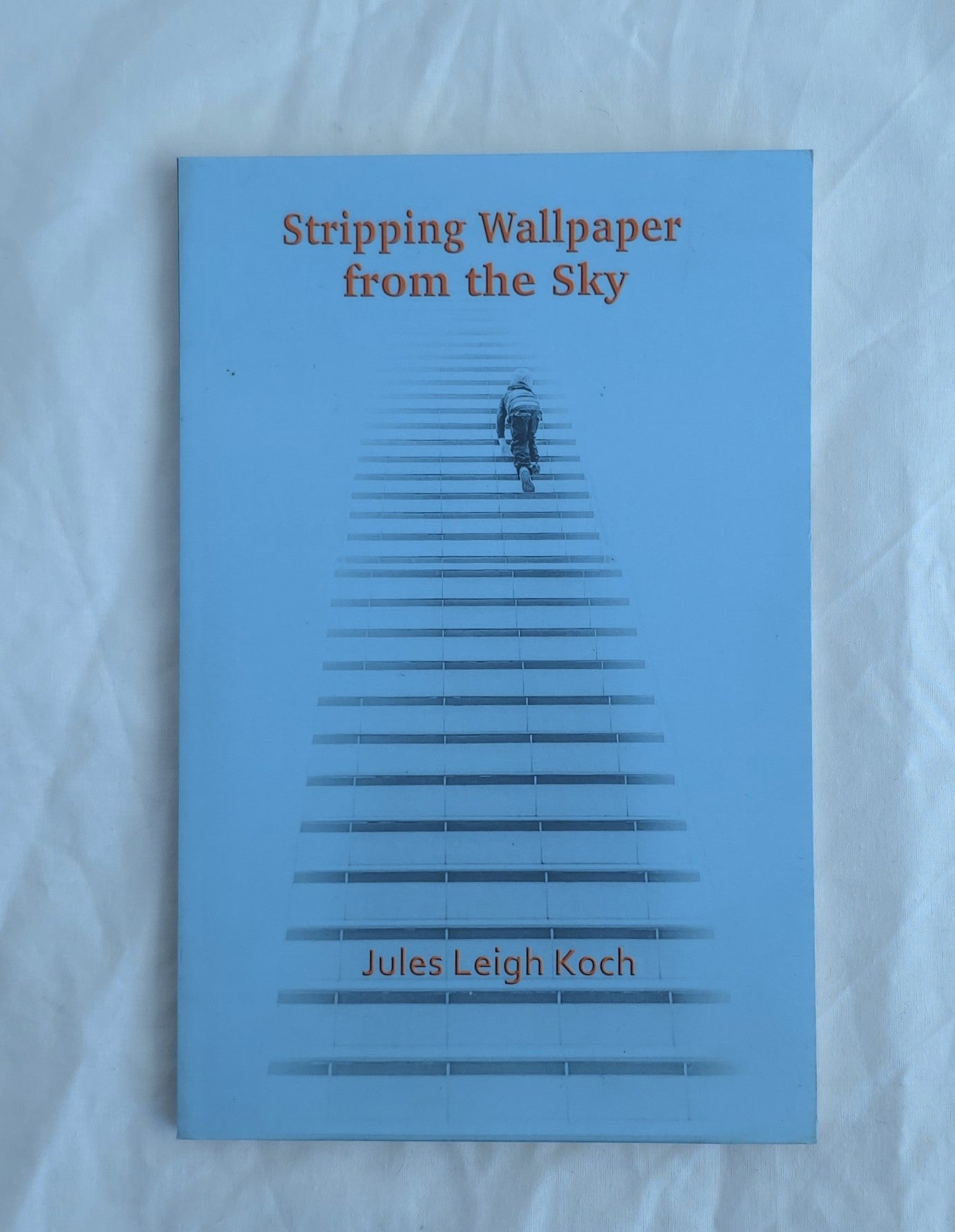 Book titled 'Stripping Wallpaper from the Sky' by Jules Leigh Koch on a light blue background
