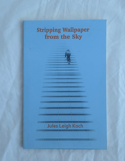 Book titled 'Stripping Wallpaper from the Sky' by Jules Leigh Koch on a light blue background