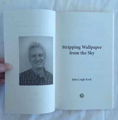 Stripping Wallpaper from the Sky by Jules Leigh Koch