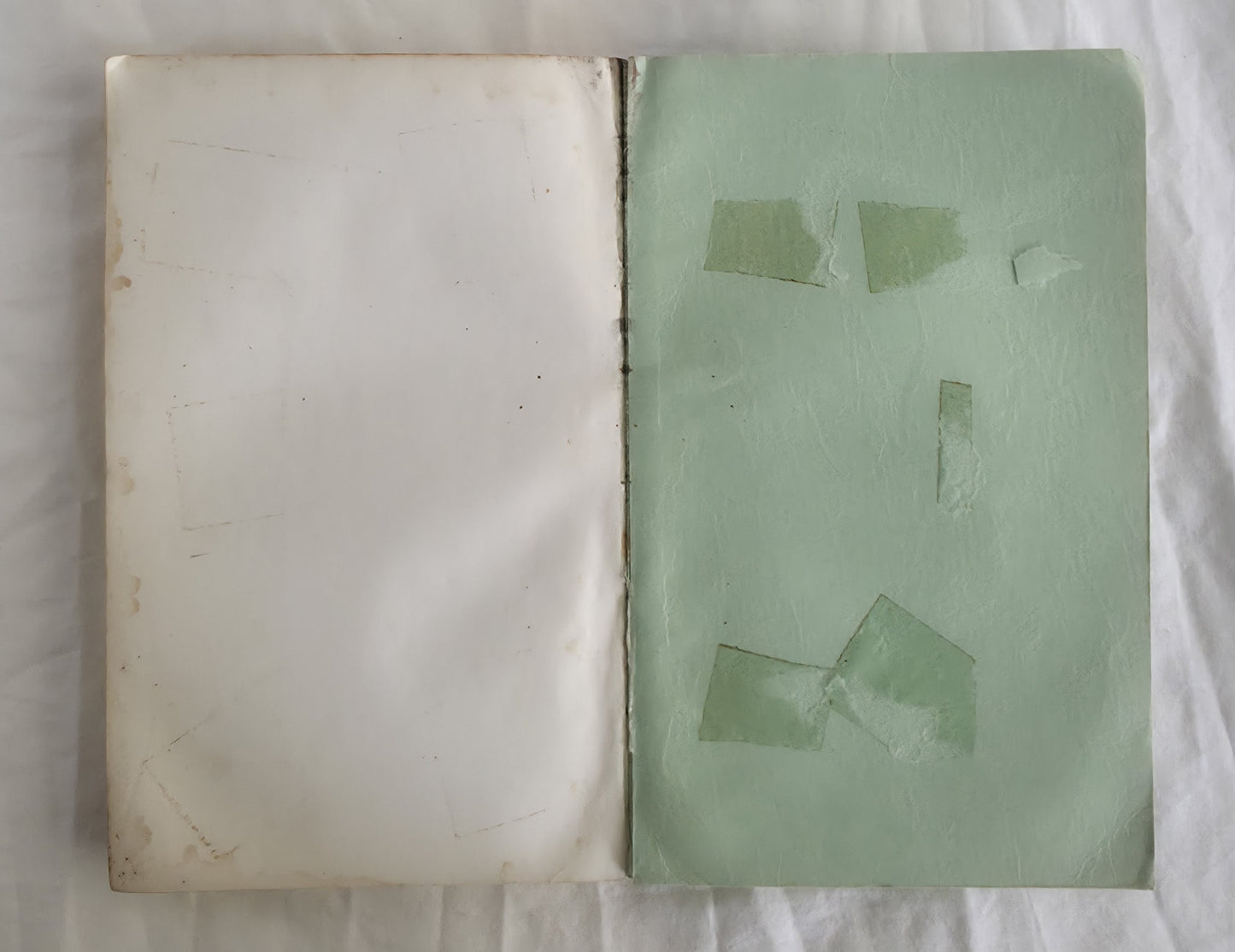 Supplement to J. M. Black’s Flora of South Australia Parts IV by Hansjoerg Eichler