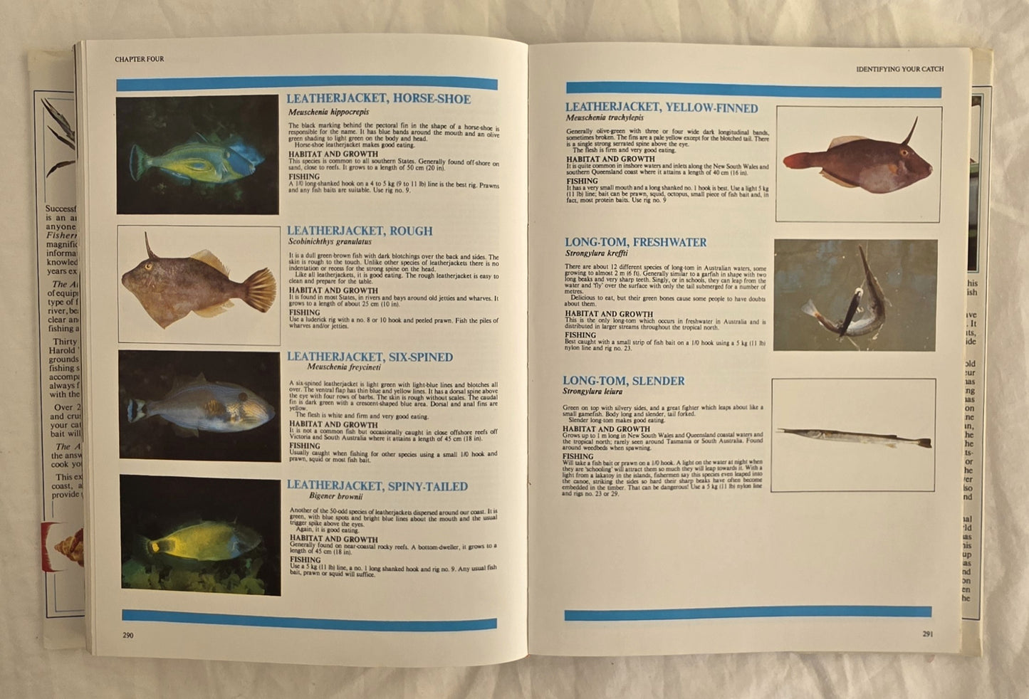 The Australian Fisherman by Harold Vaughan