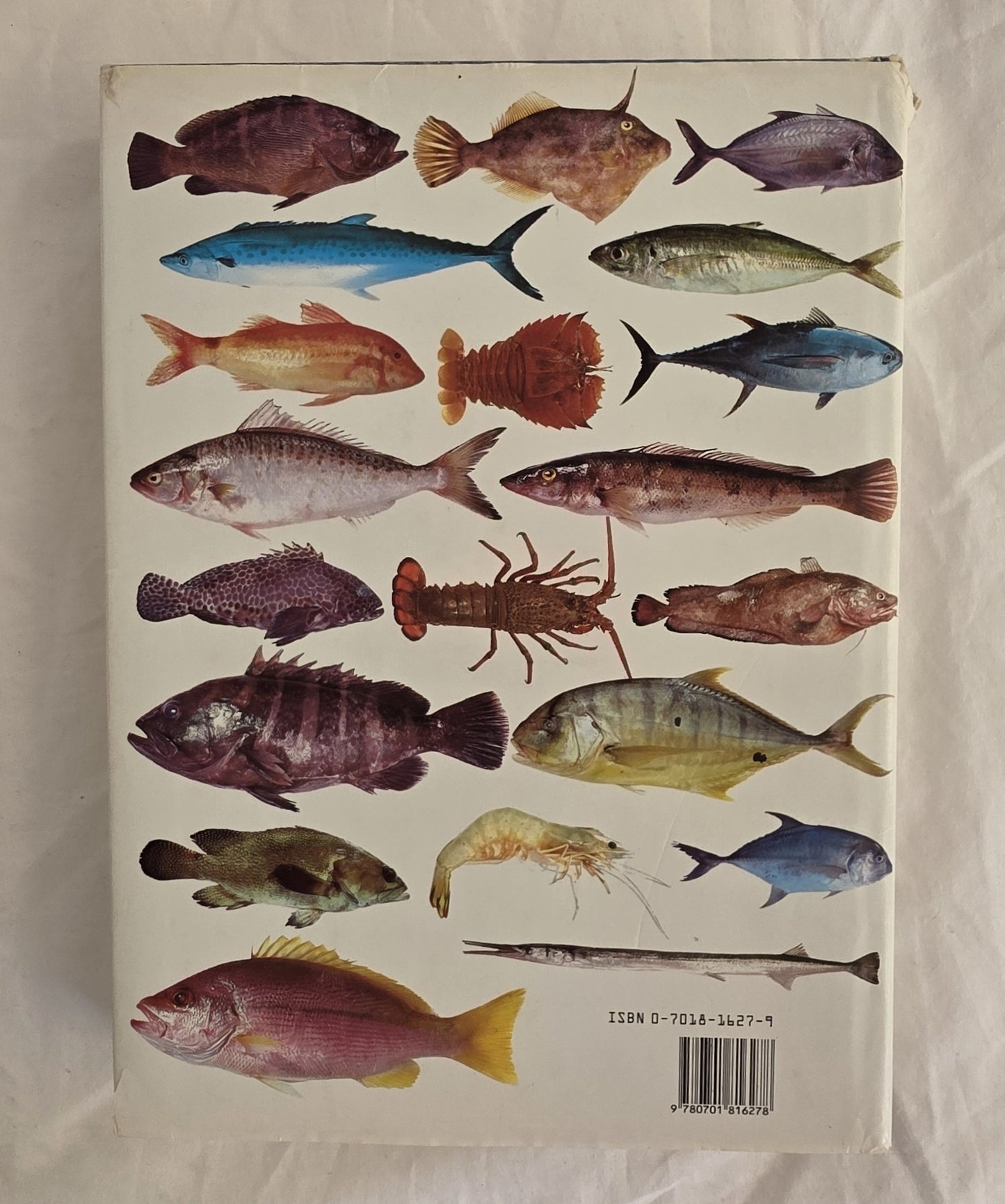 The Australian Fisherman by Harold Vaughan