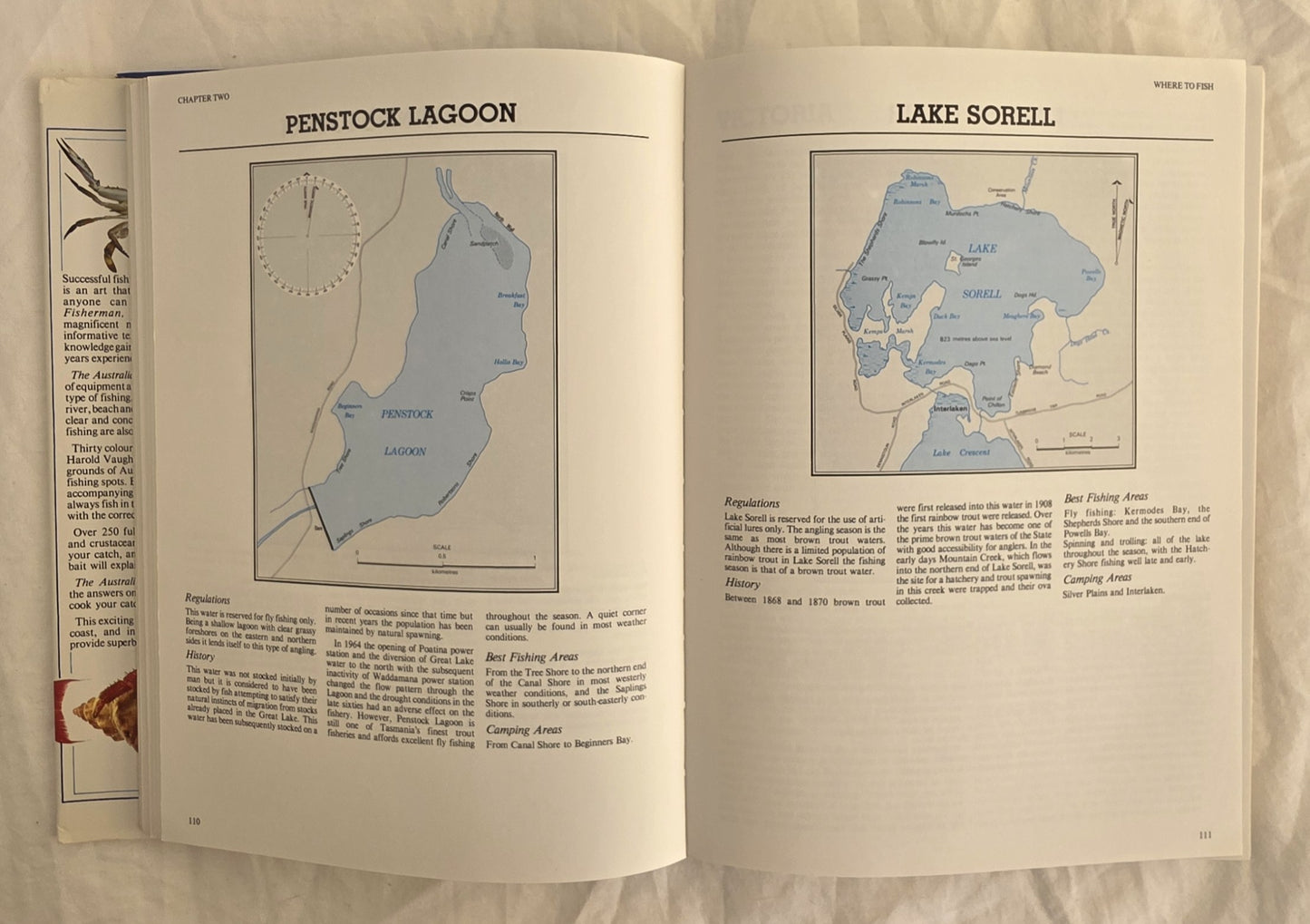 The Australian Fisherman by Harold Vaughan