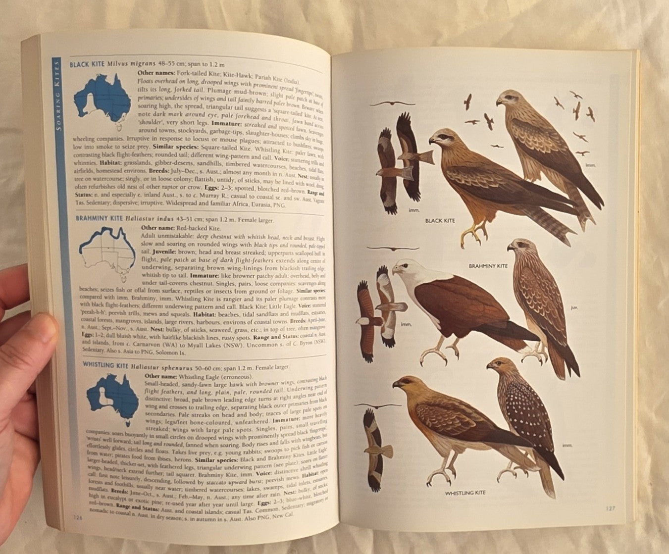 The Graham Pizzey and Frank Knight Field Guide to the Birds of Australia by Graham Pizzey
