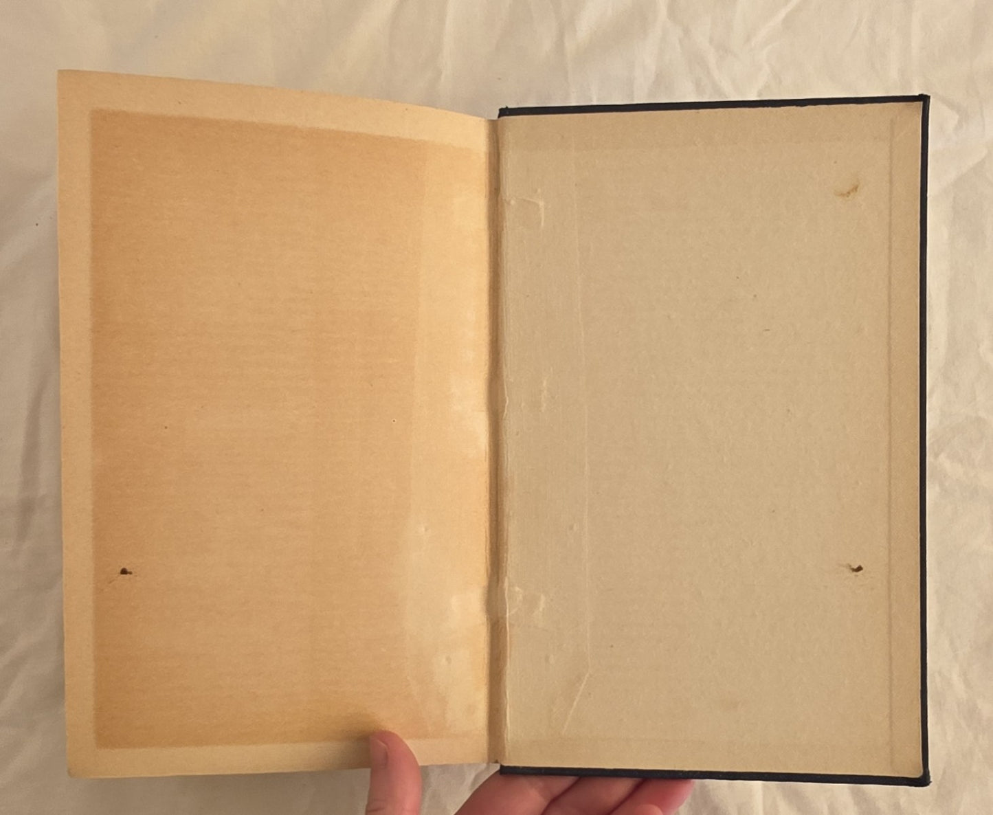 The Record of an Aeronaut by Gertrude Bacon