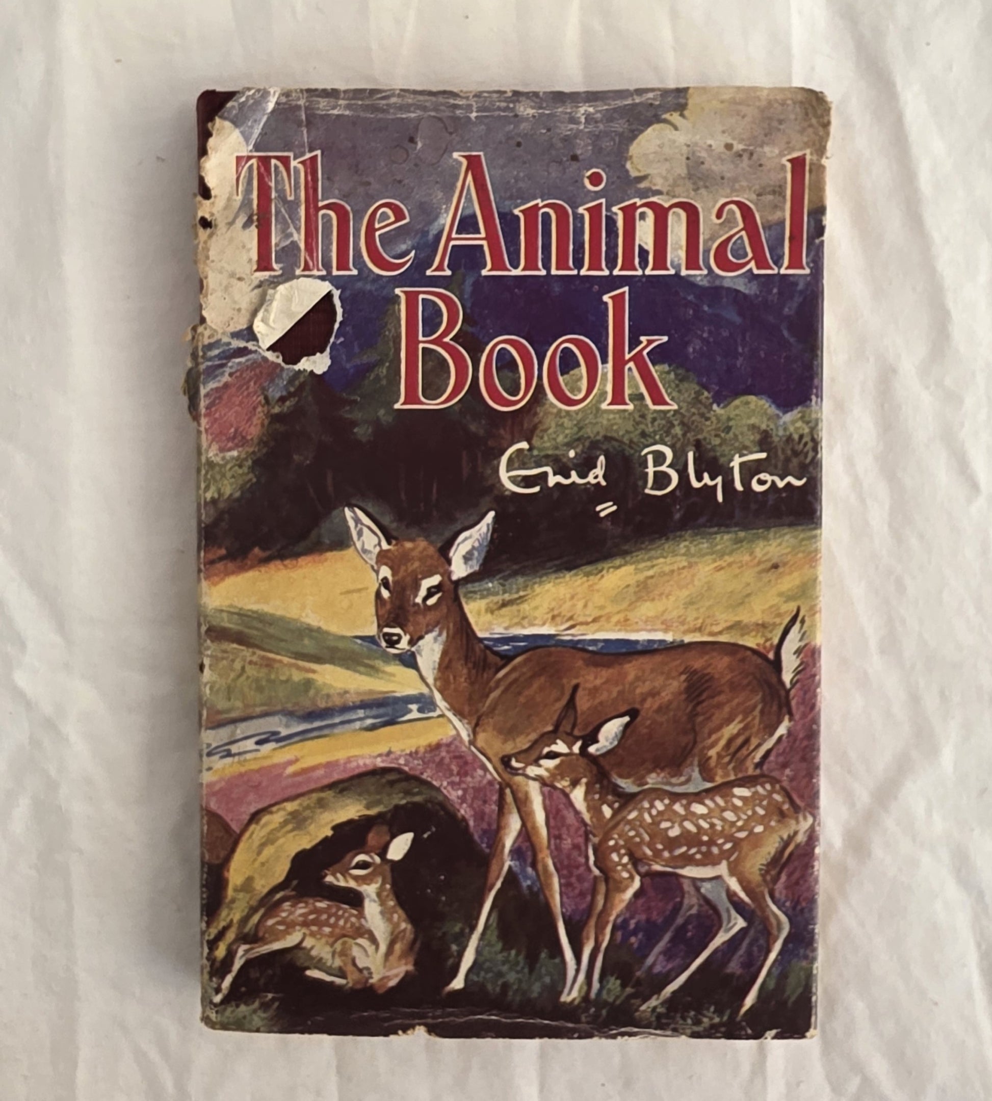 Vintage book titled 'The Animal Book' by Enid Blyton with a deer illustration on the cover.