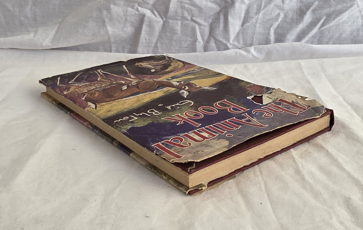 The Animal Book by Enid Blyton