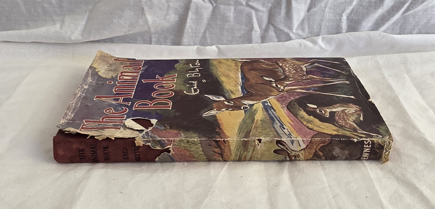 The Animal Book by Enid Blyton