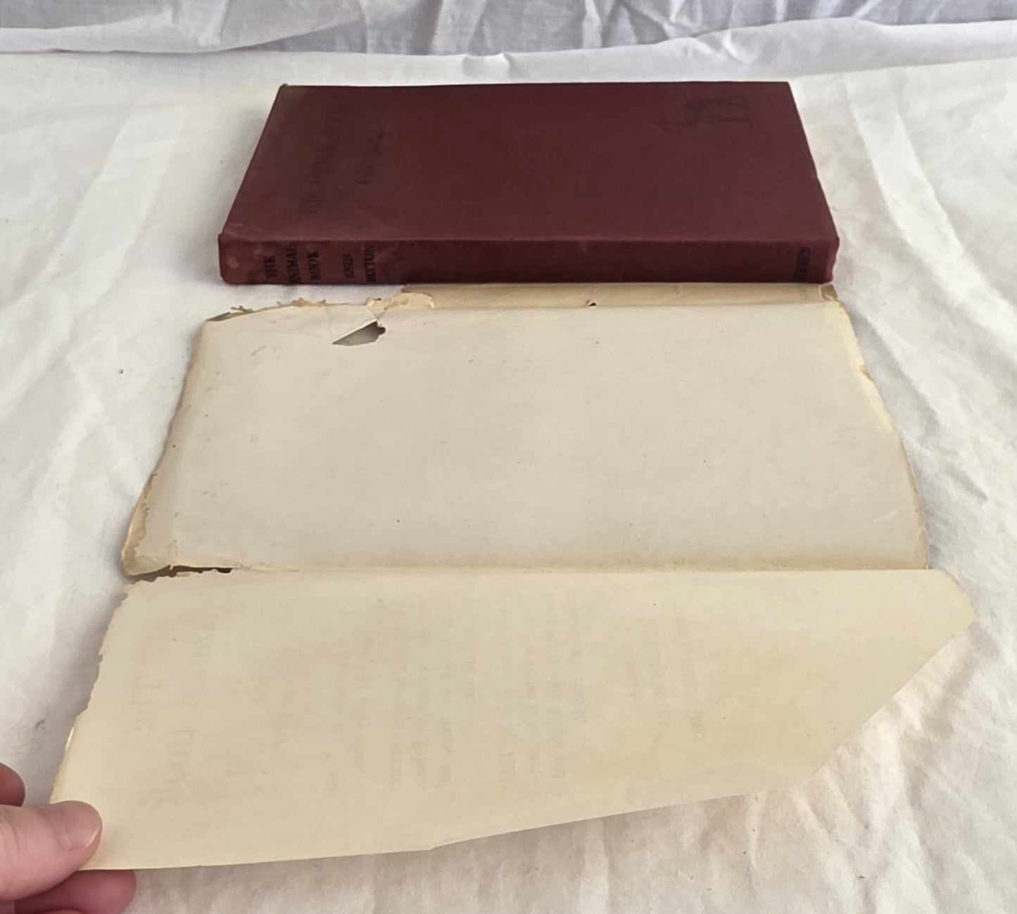 The Animal Book by Enid Blyton