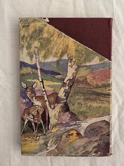 The Animal Book by Enid Blyton