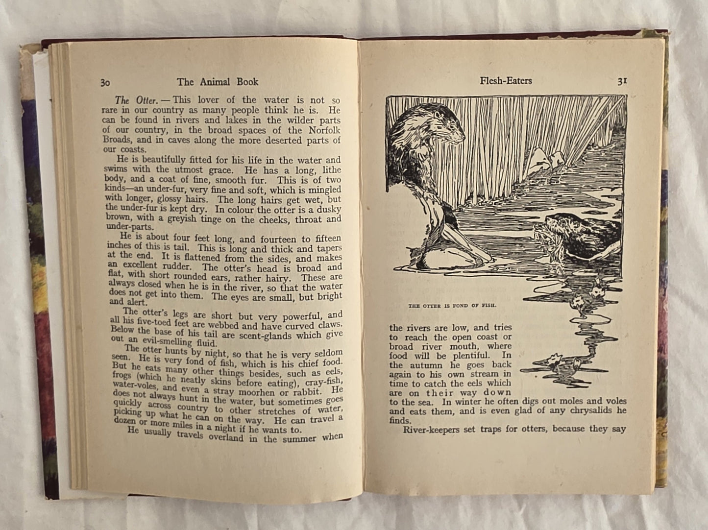 The Animal Book by Enid Blyton