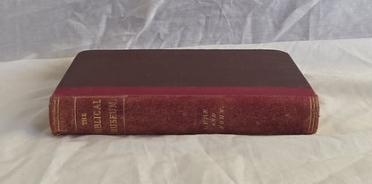 The Biblical Museum by James Comper Gray