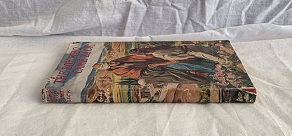 The Boy Who Came Back by Enid Blyton