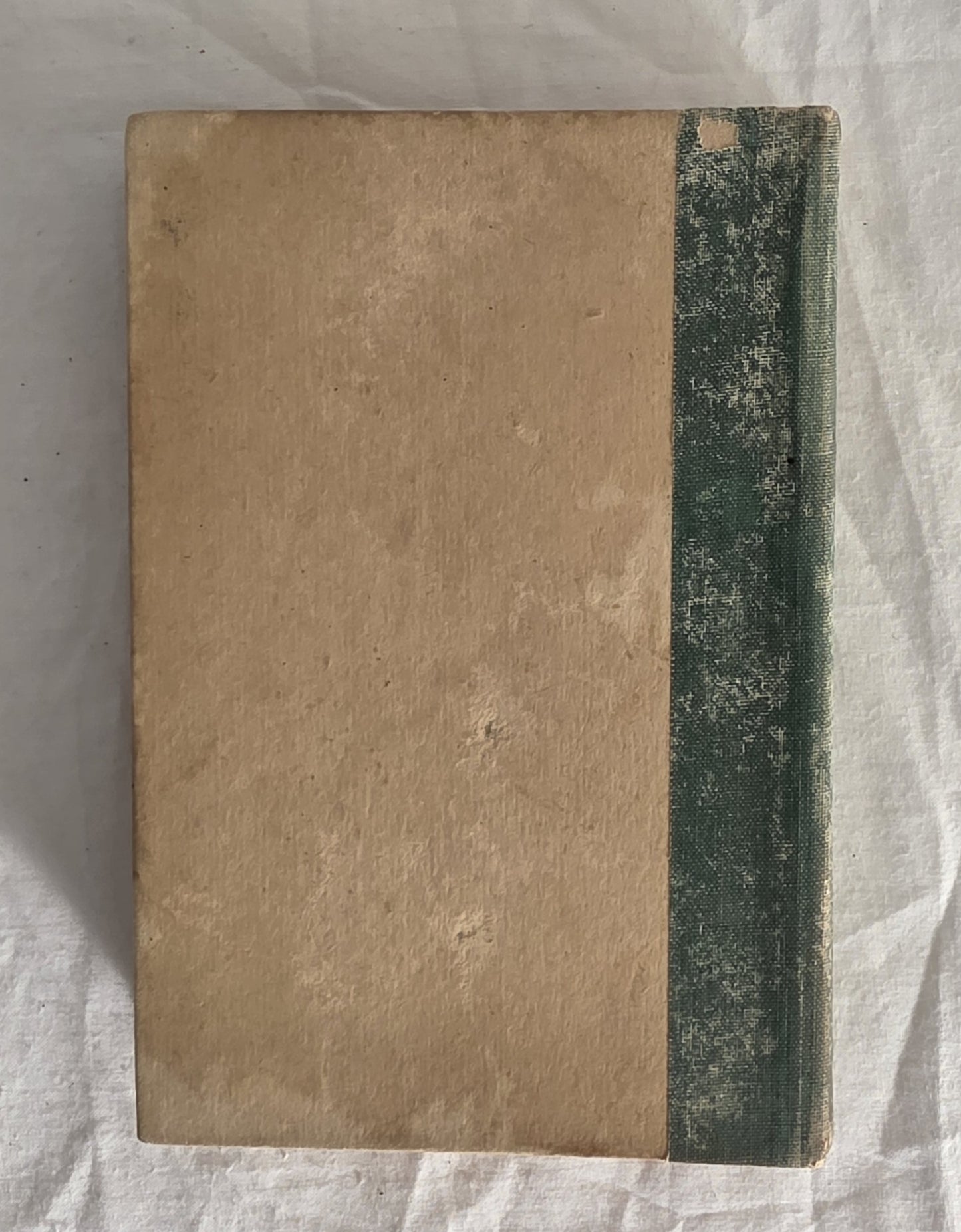 The Cripple in Black by E. V. Timms