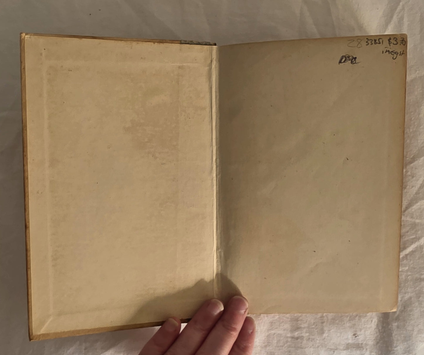 The Cripple in Black by E. V. Timms