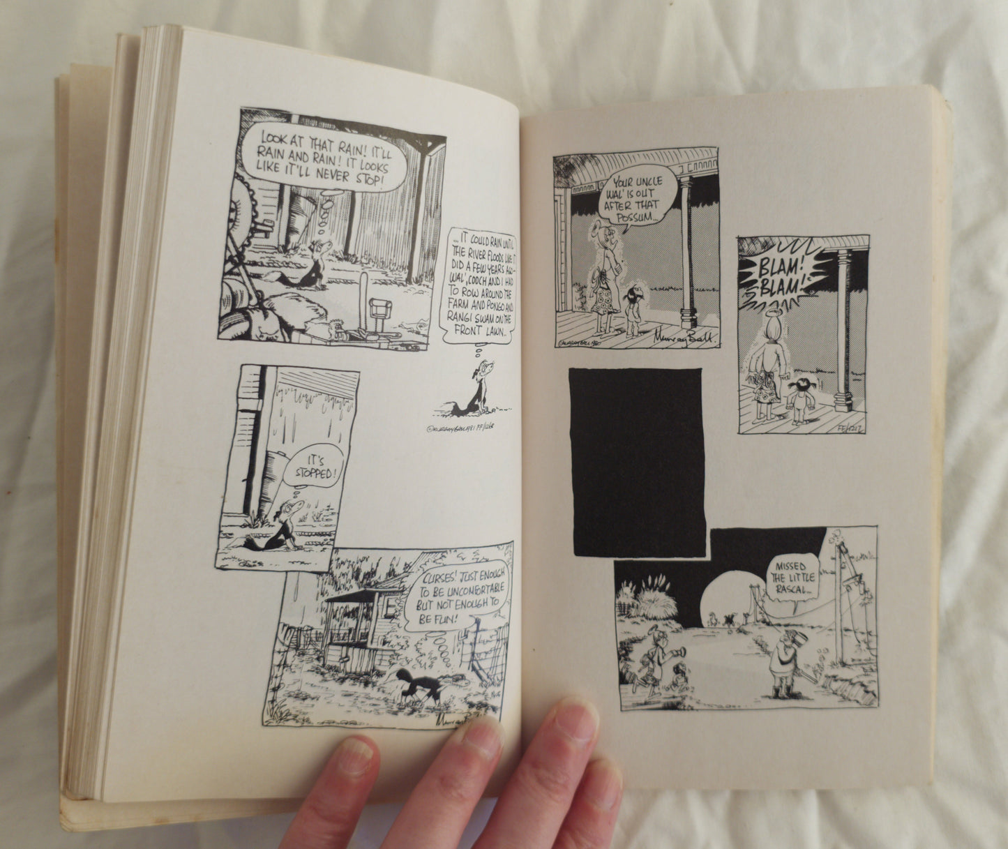 The Cry of the Grey Ghost by Murray Ball